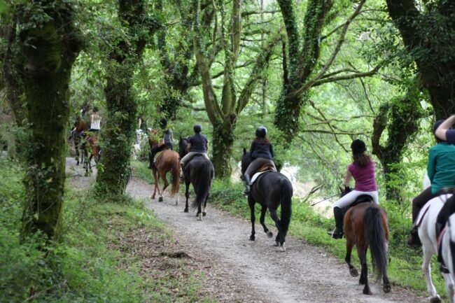 paseos a caballo