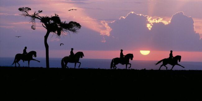 paseos a caballo