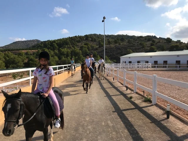 paseos a caballo