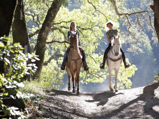 paseos a caballo