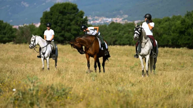 Clases de equitación en Valencia
